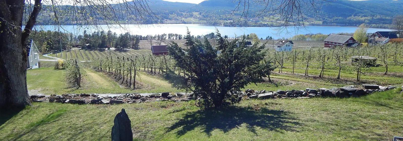 Utsikt over Midt-Telemark