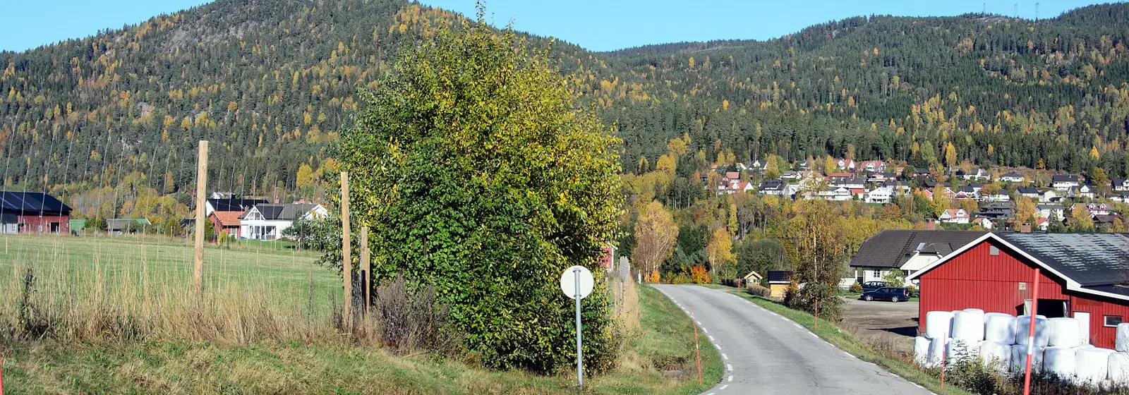 Utsikt over Siljan